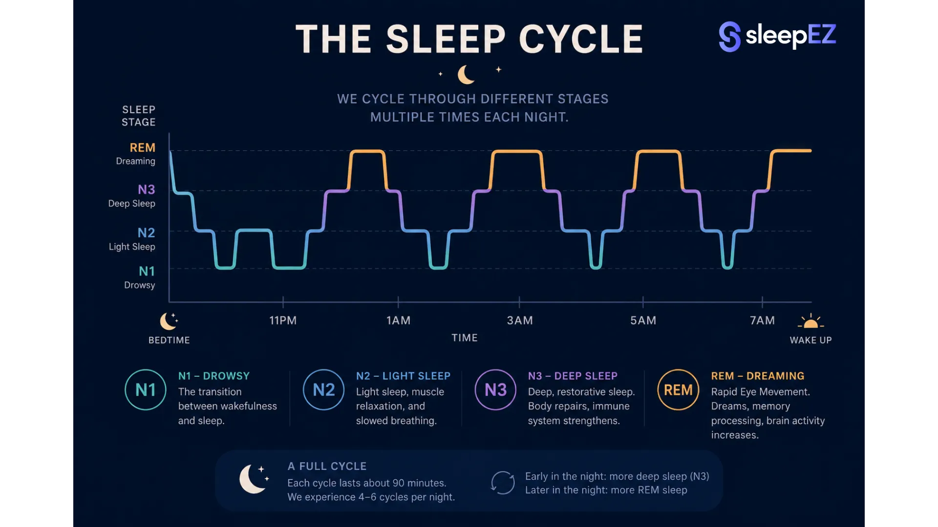 Sleep cycle stages diagram illustration